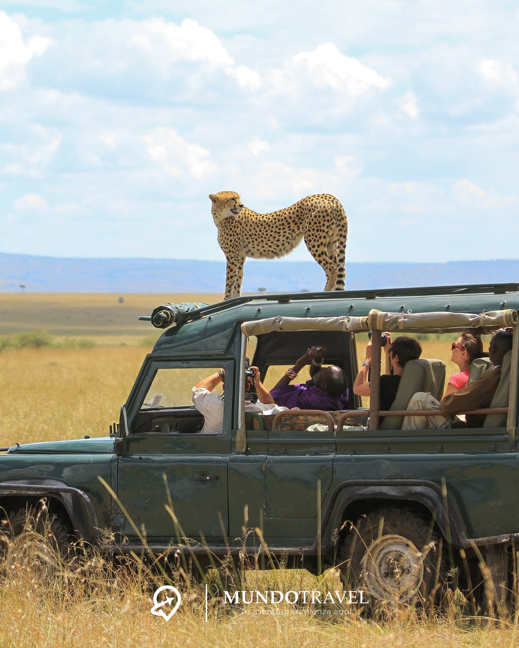 ¡Vive África en 2025 y 2026 con todo incluido!