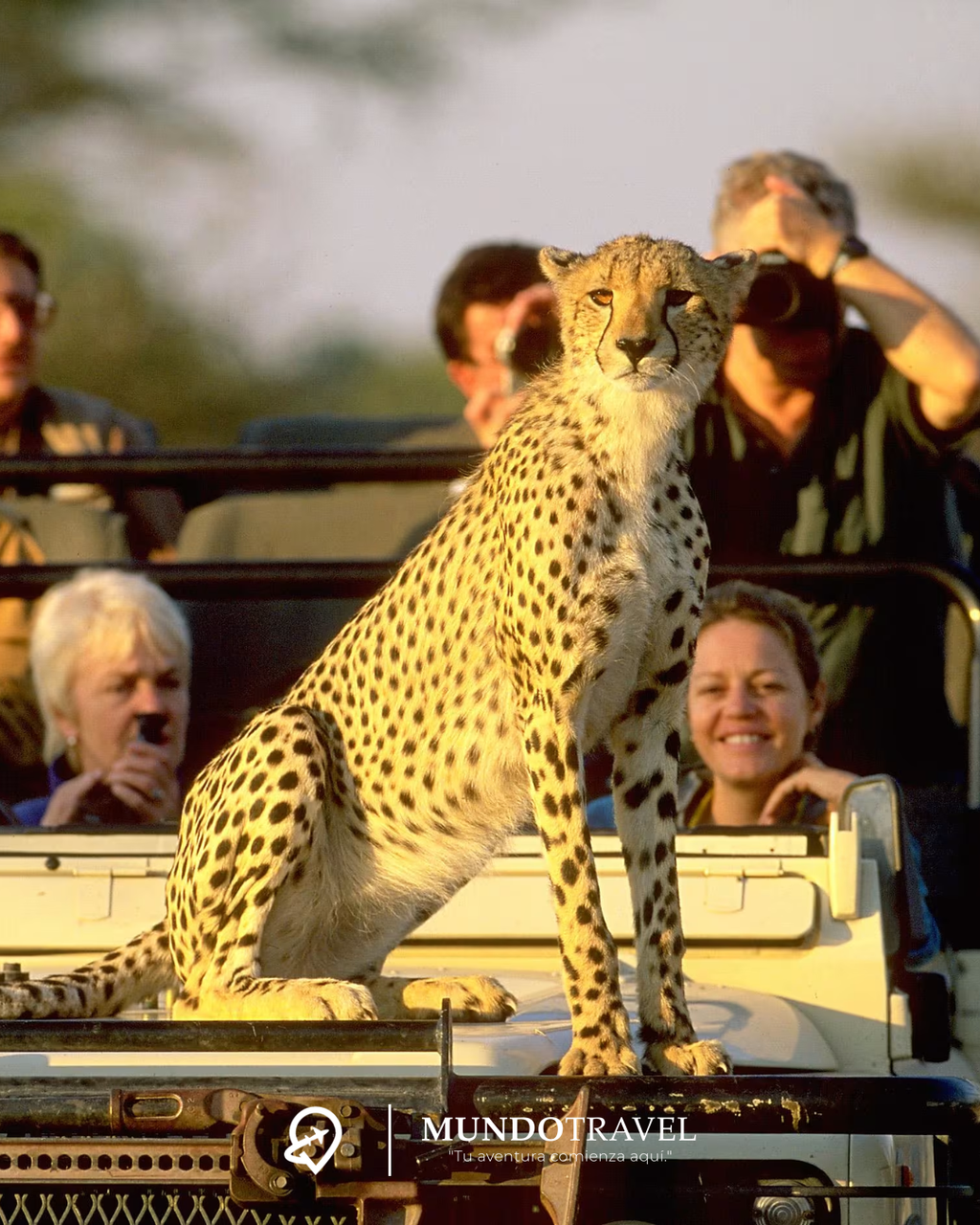 ¡Vive África en 2025 y 2026 con todo incluido!