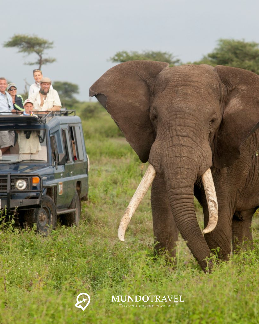 ¡Vive África en 2025 y 2026 con todo incluido!