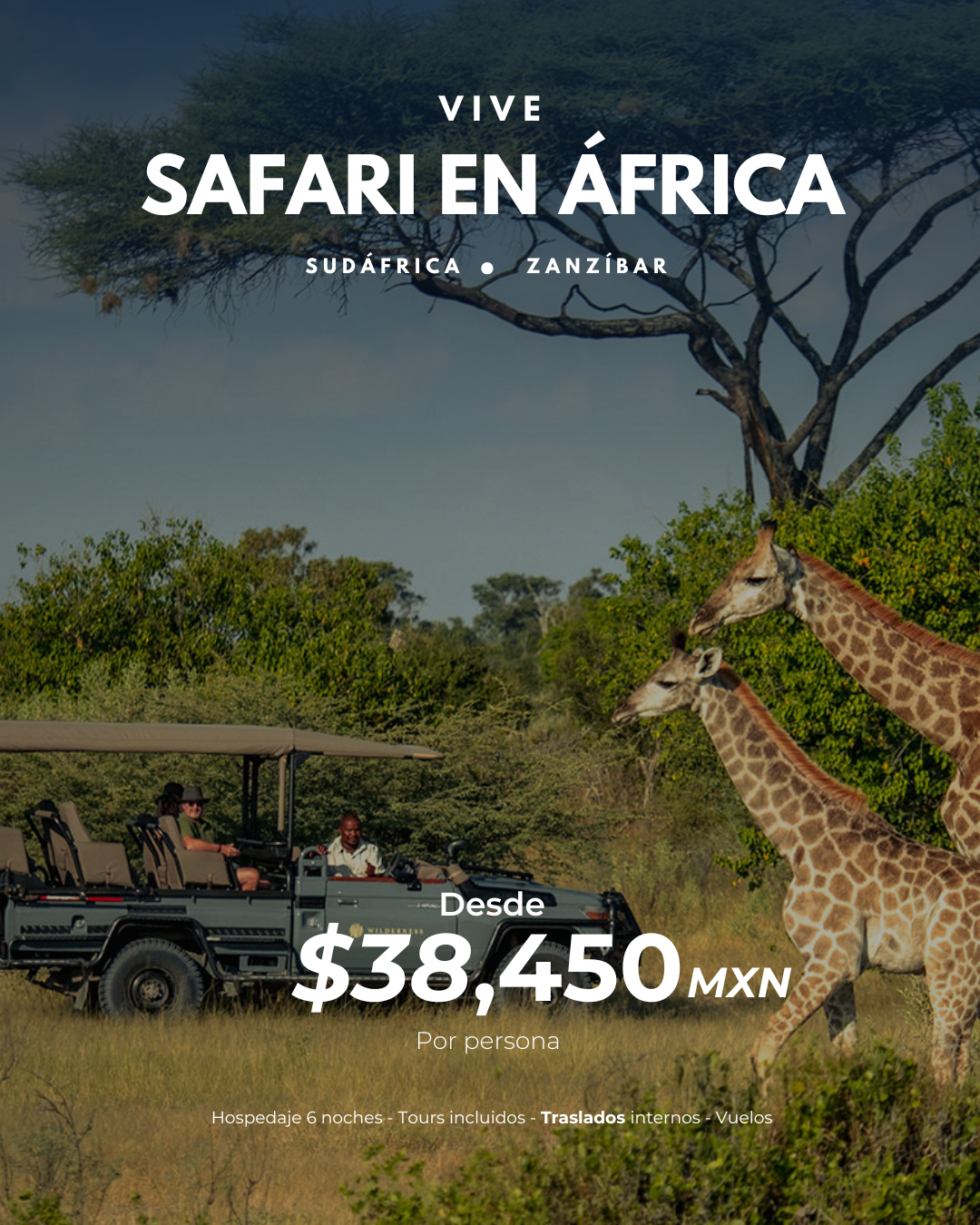 ¡Vive África en 2025 y 2026 con todo incluido!